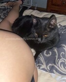 Анкета проститутки Викуля - метро Тверской, возраст - 23